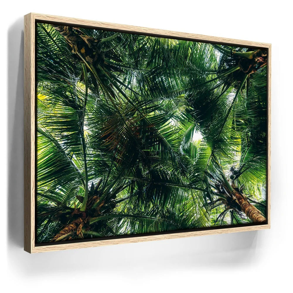 Featured image 9 for Tropical Grove