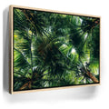 Featured image 9 for Tropical Grove