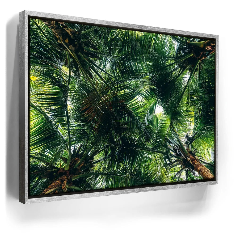 Featured image 8 for Tropical Grove