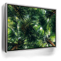 Featured image 8 for Tropical Grove