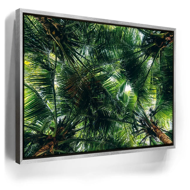 Featured image 8 for Tropical Grove