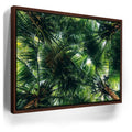Featured image 10 for Tropical Grove