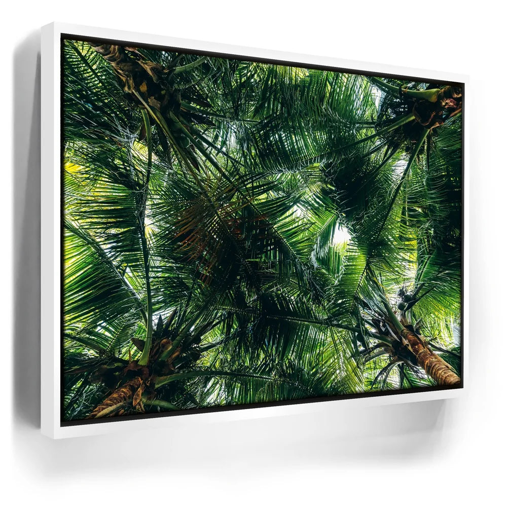Featured image 6 for Tropical Grove