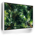 Featured image 6 for Tropical Grove