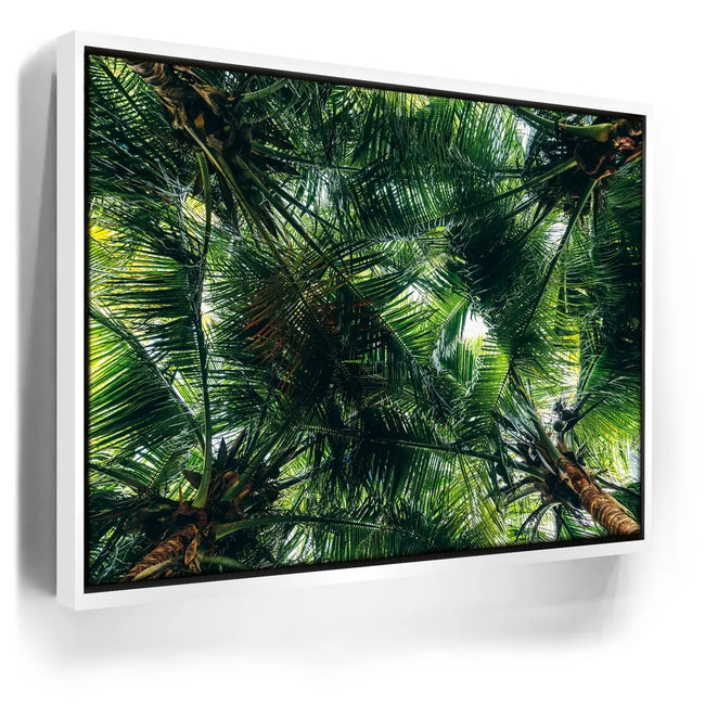 Featured image 6 for Tropical Grove