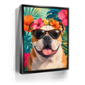 Featured image 6 for Tropical Bulldog Fiesta