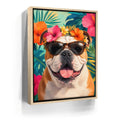 Featured image 10 for Tropical Bulldog Fiesta