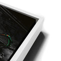 Thumbnail image 13 for Trumpeteer