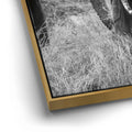 Thumbnail image 12 for Trumpeter