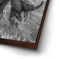 Thumbnail image 14 for Trumpeter
