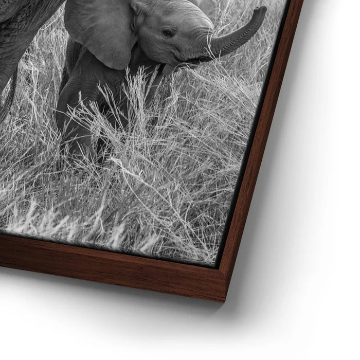 Featured image 14 for Trumpeter