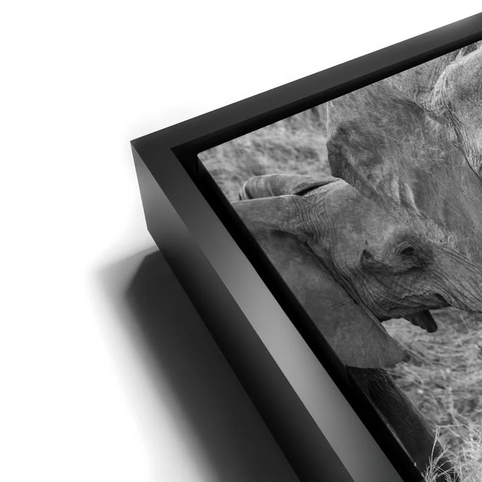 Featured image 11 for Trumpeter