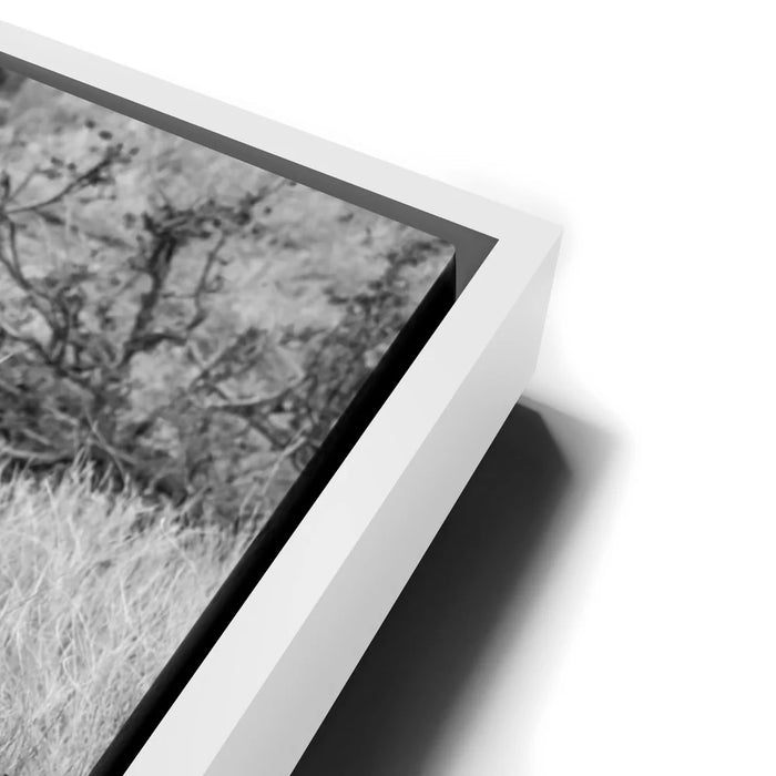 Featured image 13 for Trumpeter