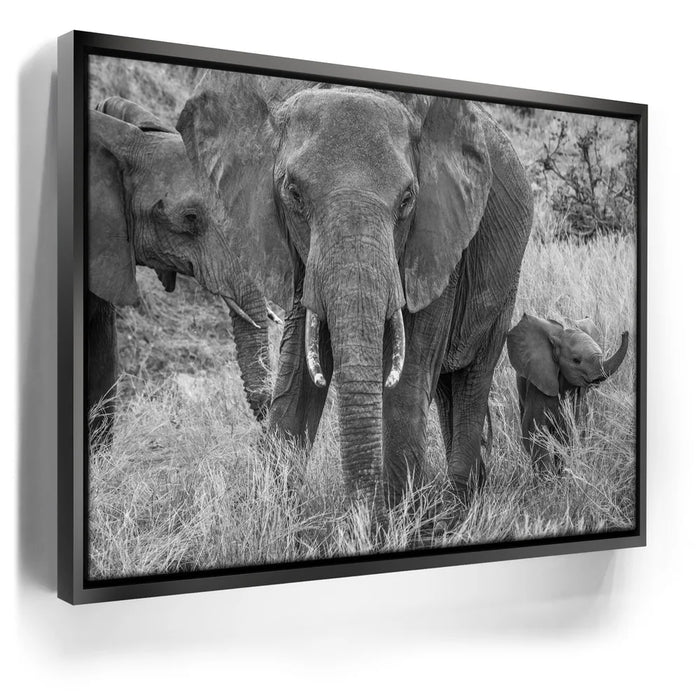 Featured image 5 for Trumpeter