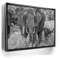 Featured image 5 for Trumpeter