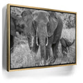 Featured image 7 for Trumpeter