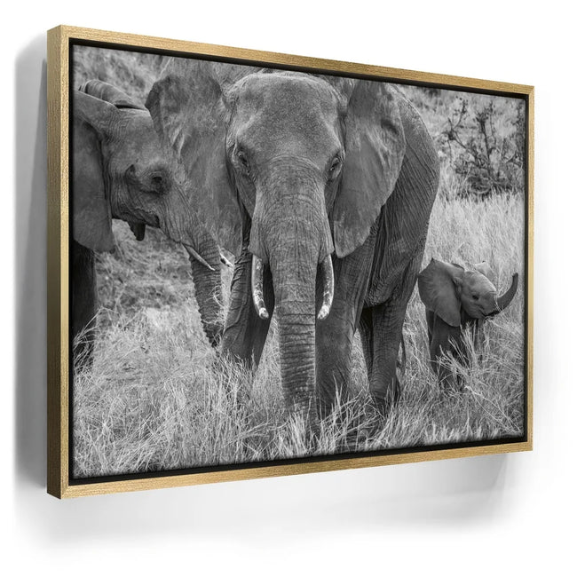 Featured image 7 for Trumpeter