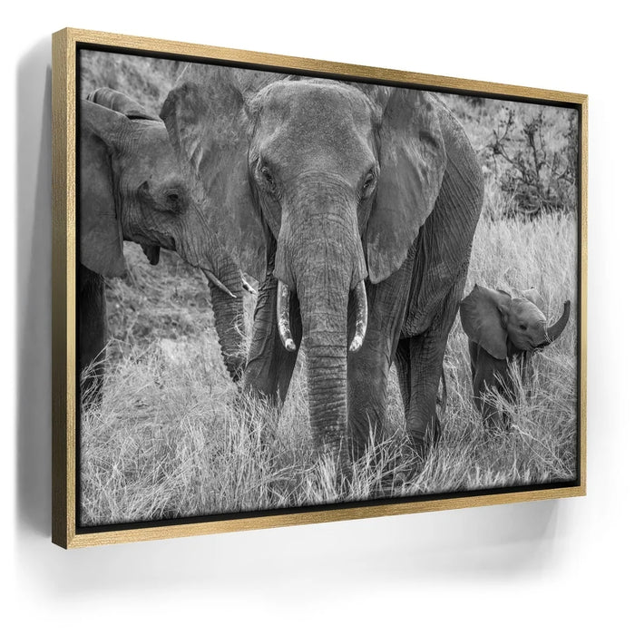 Featured image 7 for Trumpeter