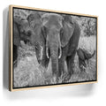 Featured image 9 for Trumpeter