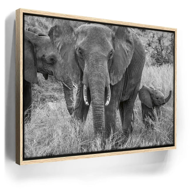 Featured image 9 for Trumpeter