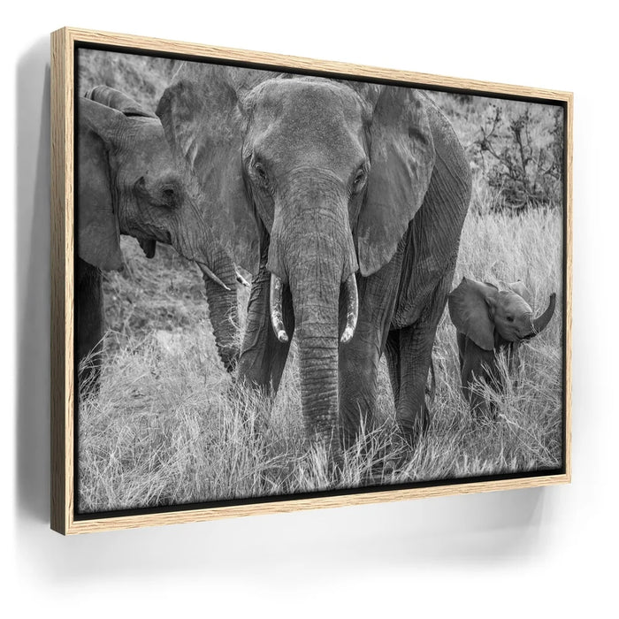 Featured image 9 for Trumpeter