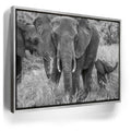 Featured image 8 for Trumpeter