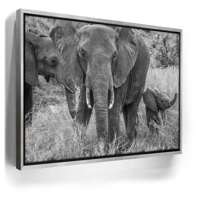 Featured image 8 for Trumpeter
