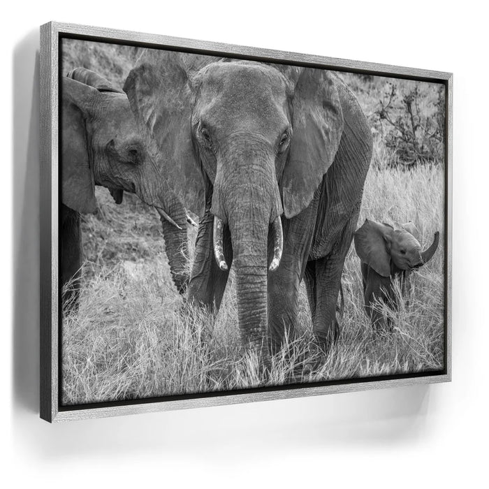 Featured image 8 for Trumpeter