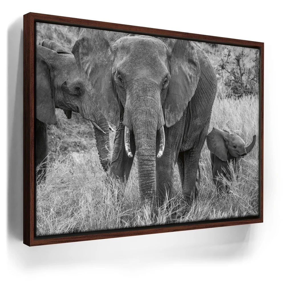 Featured image 10 for Trumpeter