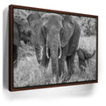 Featured image 10 for Trumpeter