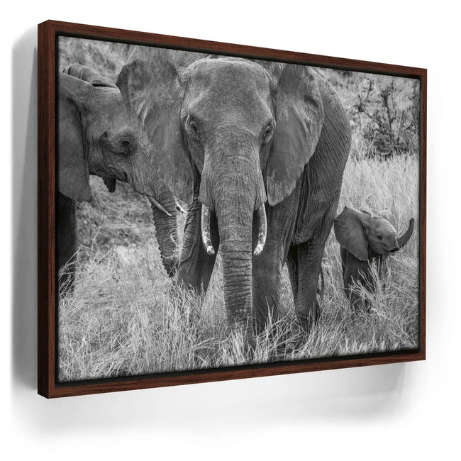 Featured image 10 for Trumpeter