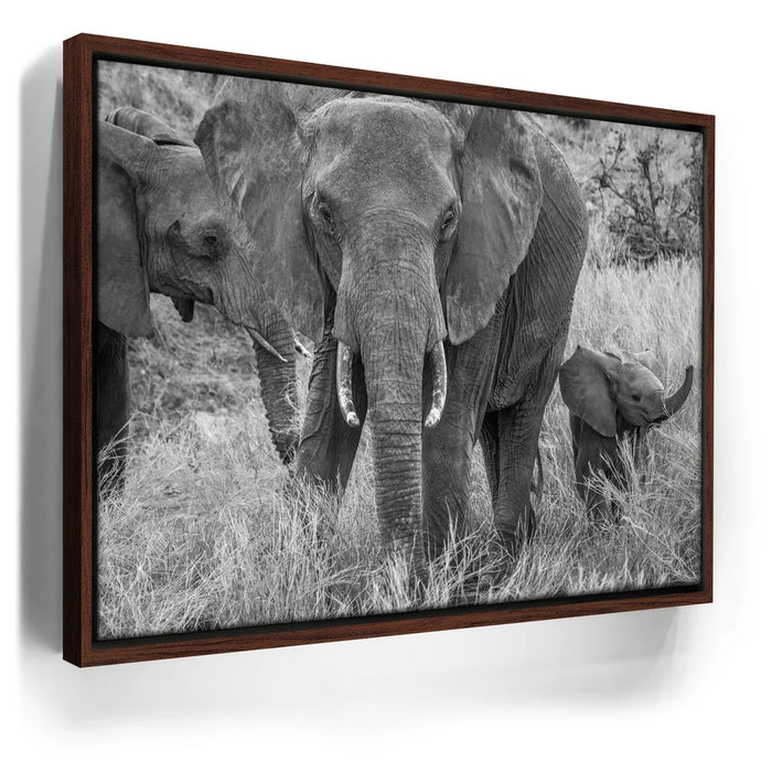 Featured image 10 for Trumpeter