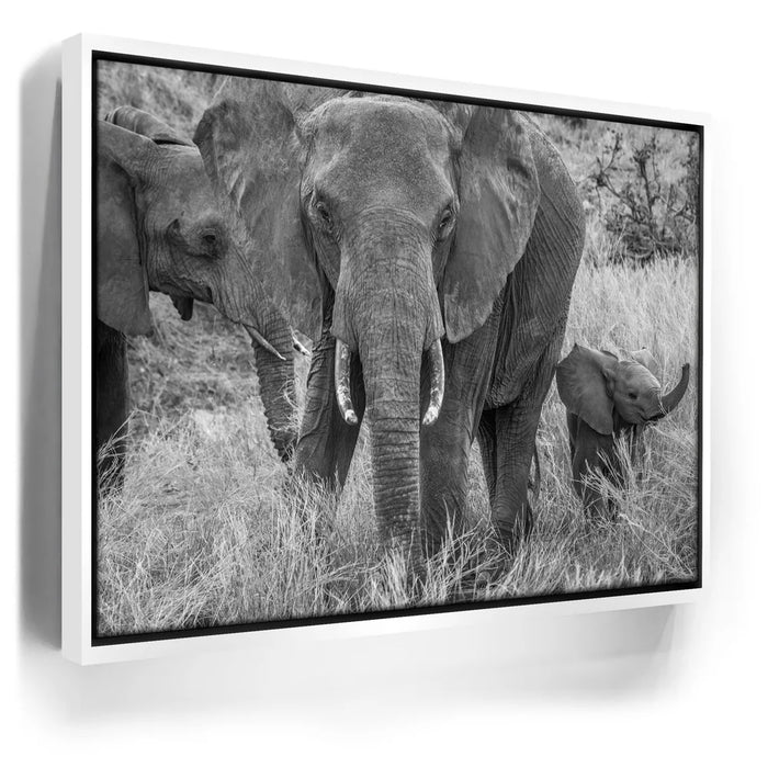 Featured image 6 for Trumpeter