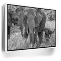 Featured image 6 for Trumpeter