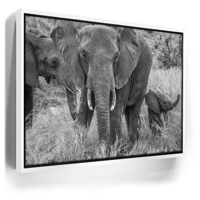 Featured image 6 for Trumpeter