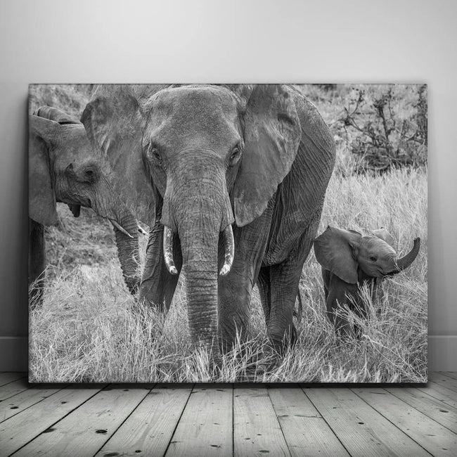 Featured image 1 for Trumpeter