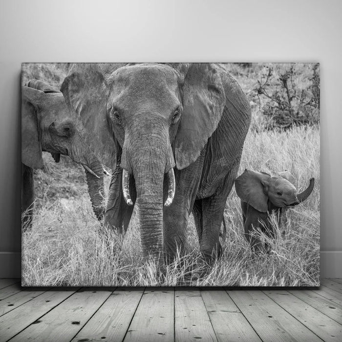 Featured image 1 for Trumpeter