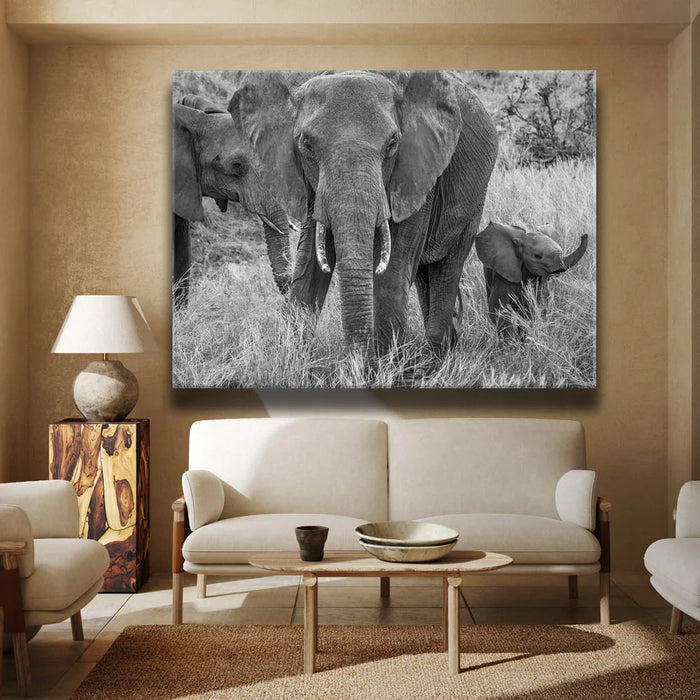 Featured image 2 for Trumpeter