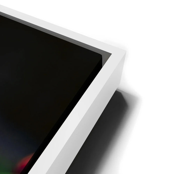 Featured image 13 for Tulip Harmony