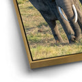 Thumbnail image 13 for Tuskers of Kenya