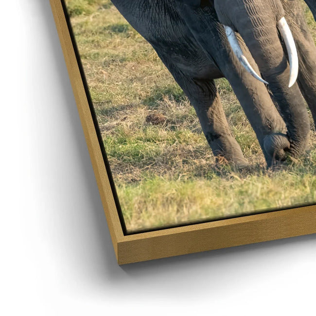 Featured image 13 for Tuskers of Kenya