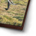 Thumbnail image 15 for Tuskers of Kenya