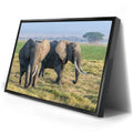 Thumbnail image 2 for Tuskers of Kenya