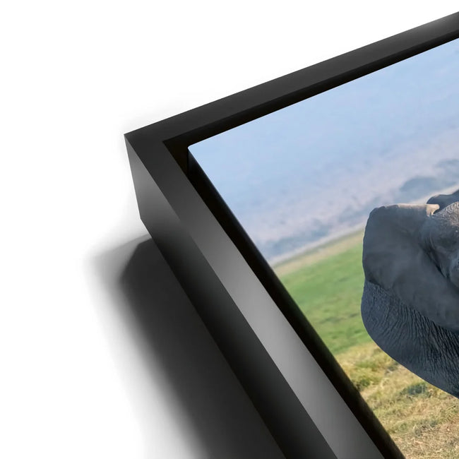 Featured image 12 for Tuskers of Kenya