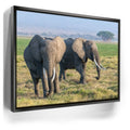 Featured image 6 for Tuskers of Kenya