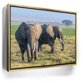 Featured image 8 for Tuskers of Kenya