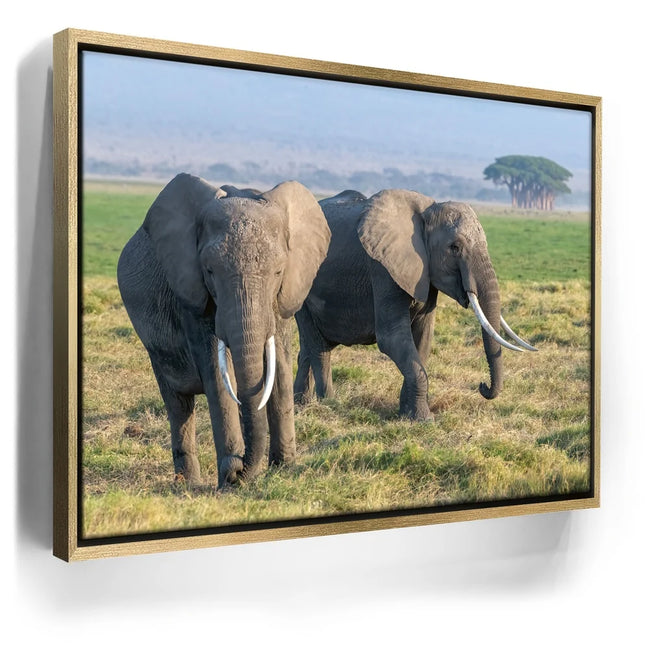 Featured image 8 for Tuskers of Kenya