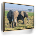 Featured image 10 for Tuskers of Kenya