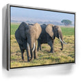 Featured image 9 for Tuskers of Kenya