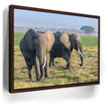 Featured image 11 for Tuskers of Kenya